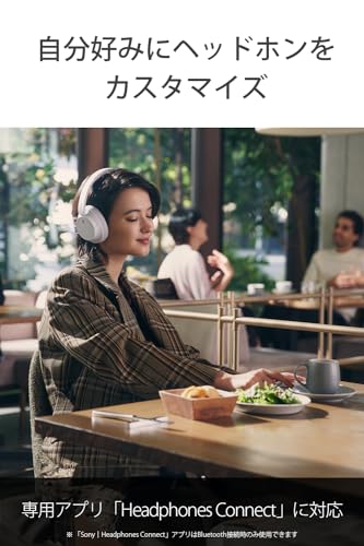 Sony WH-CH720NL Noise Canceling Wireless Bluetooth Headphones Navy Blue P28396