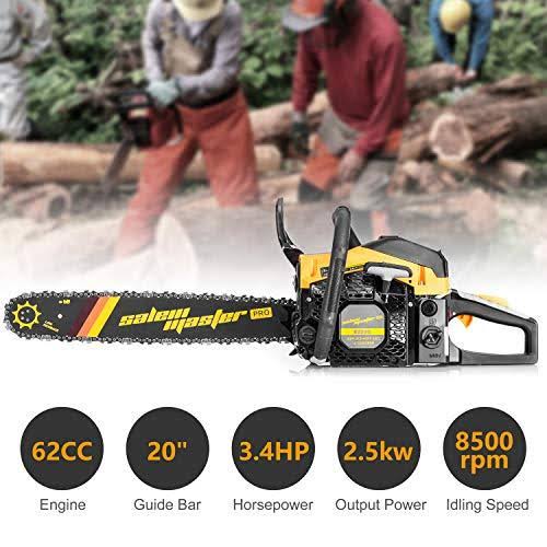 Salem Master 20 in. 62 CC 2-Cycle Gas Powered Chainsaw Y46544