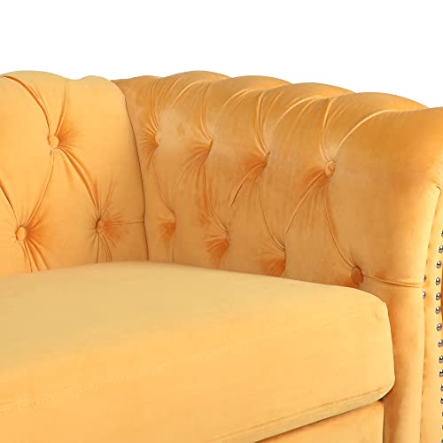 RARZOE Traditional Chesterfield Loveseat Sofa, Button Tufted Velvet Couch with Nailhead Trim J278