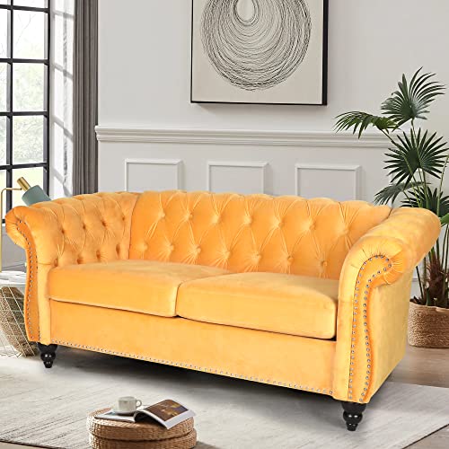 RARZOE Traditional Chesterfield Loveseat Sofa, Button Tufted Velvet Couch with Nailhead Trim J278