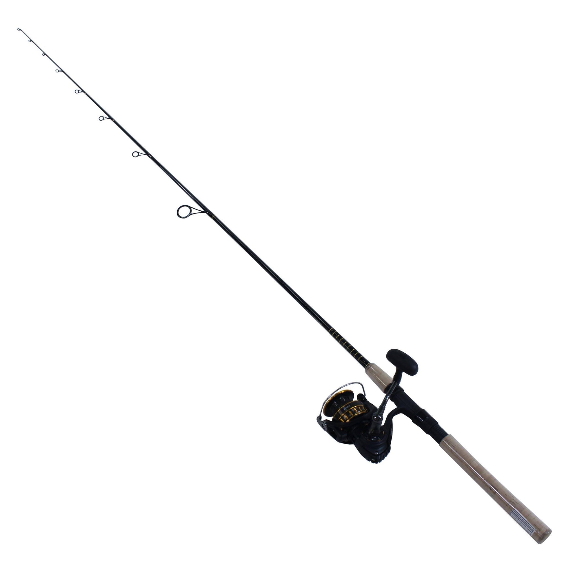 Daiwa BG Saltwater Spinning Combo