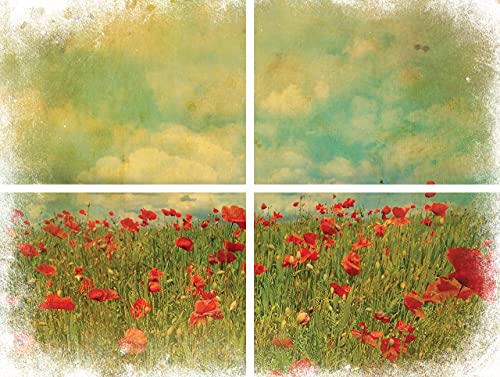 Dixie Belle Belles & Whistles Transfer Cotton and Eucalyptus 24.8" x 38.8" Sheet S584